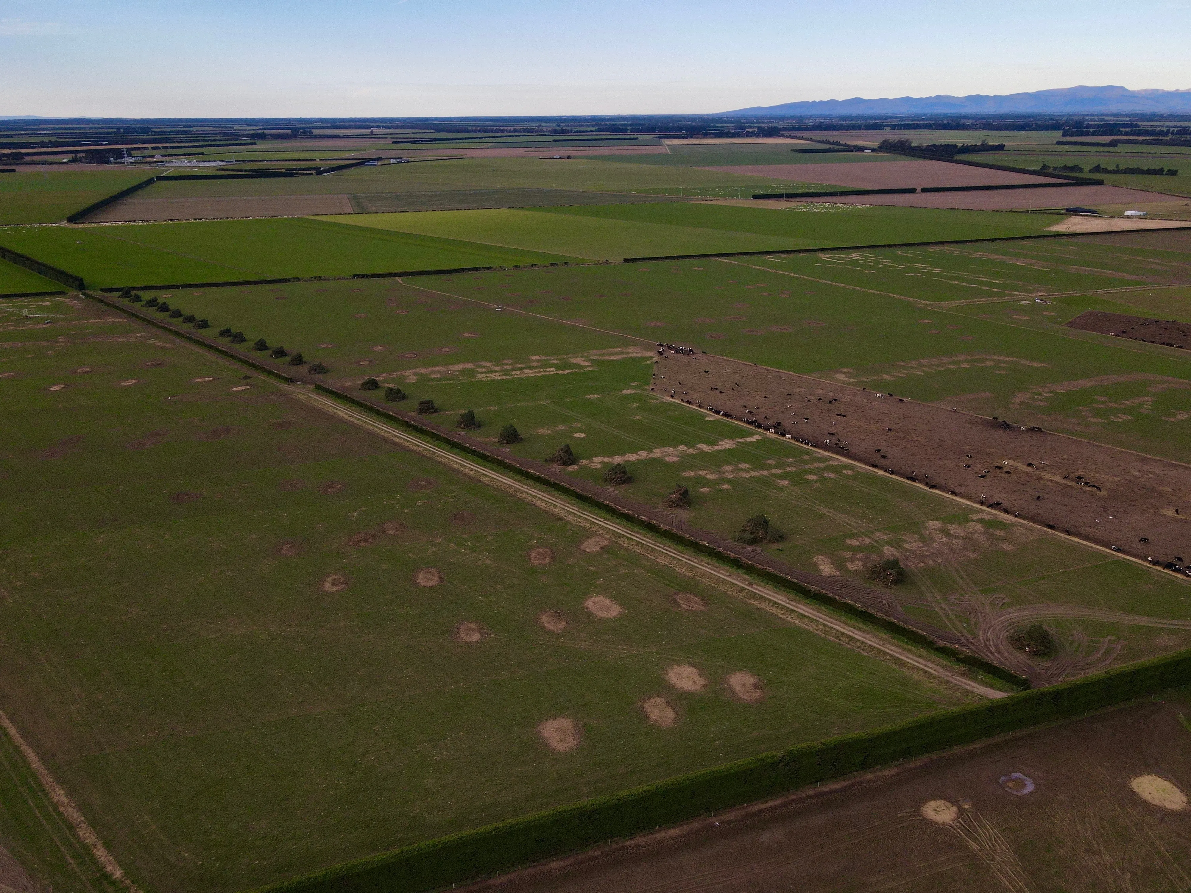 Dewhurst Land – Hedge Topping for Pivot Installation - Featured image