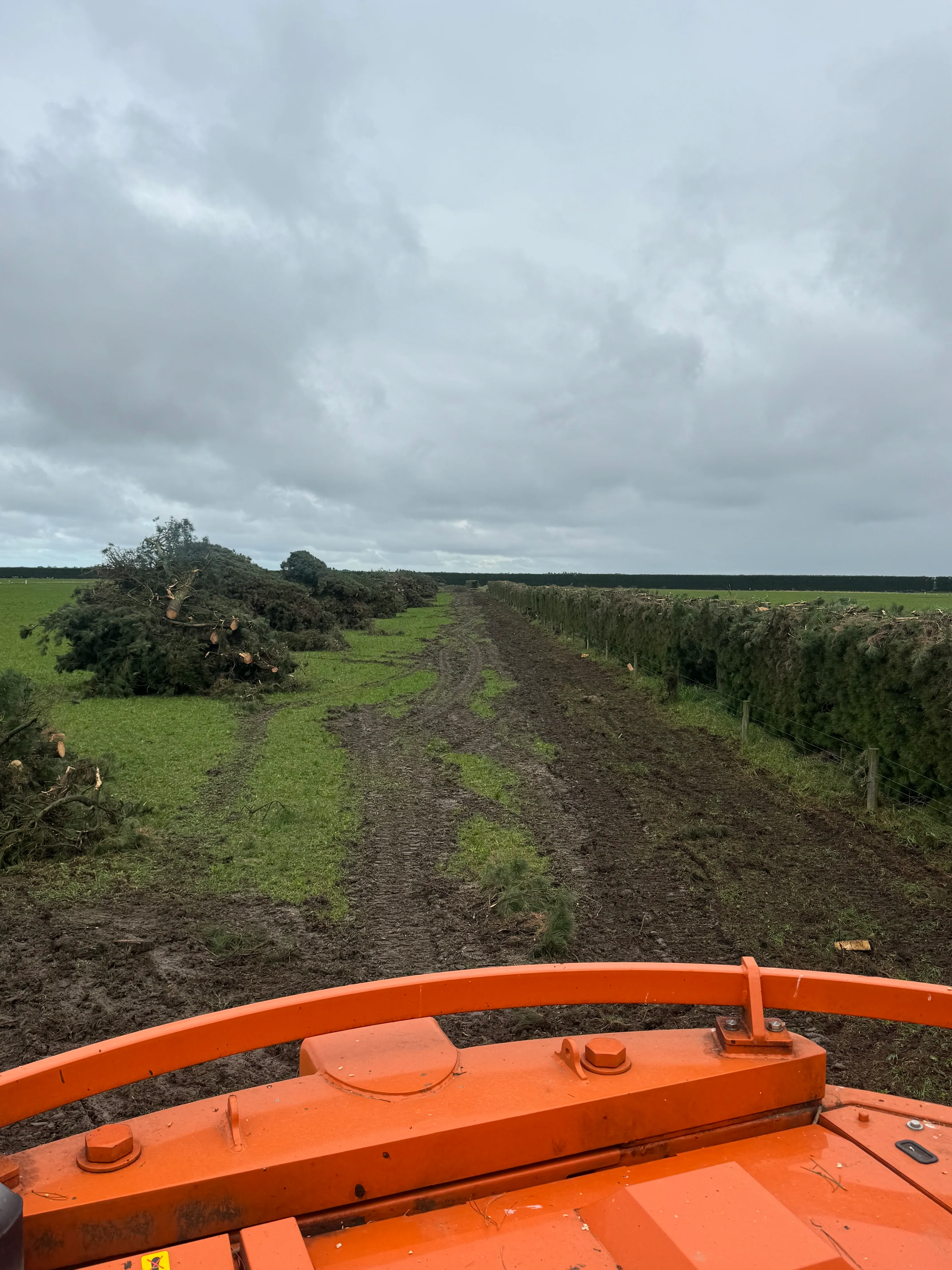 Dewhurst Land – Hedge Topping for Pivot Installation - Gallery image 4