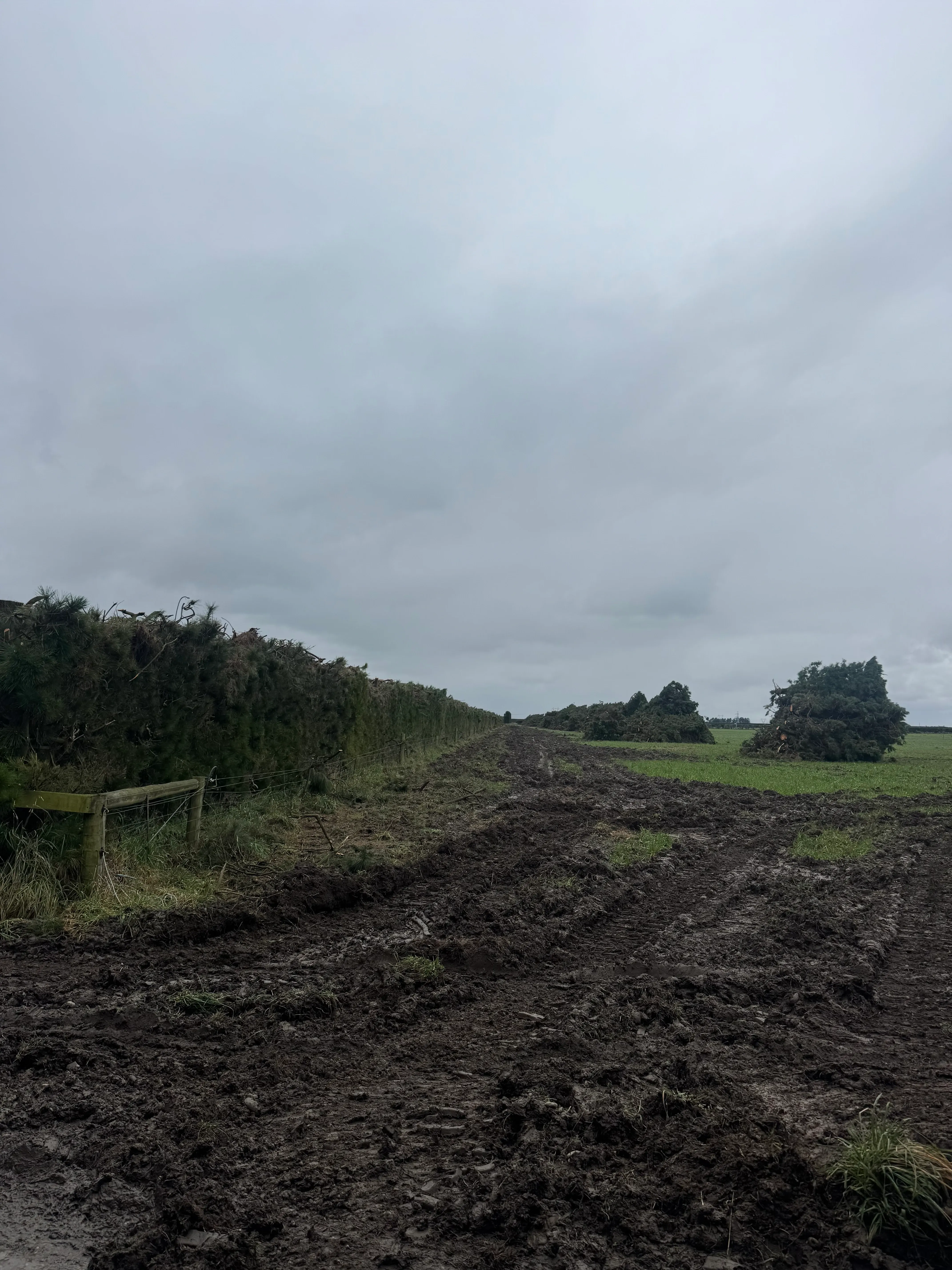Dewhurst Land – Hedge Topping for Pivot Installation - Gallery image 6