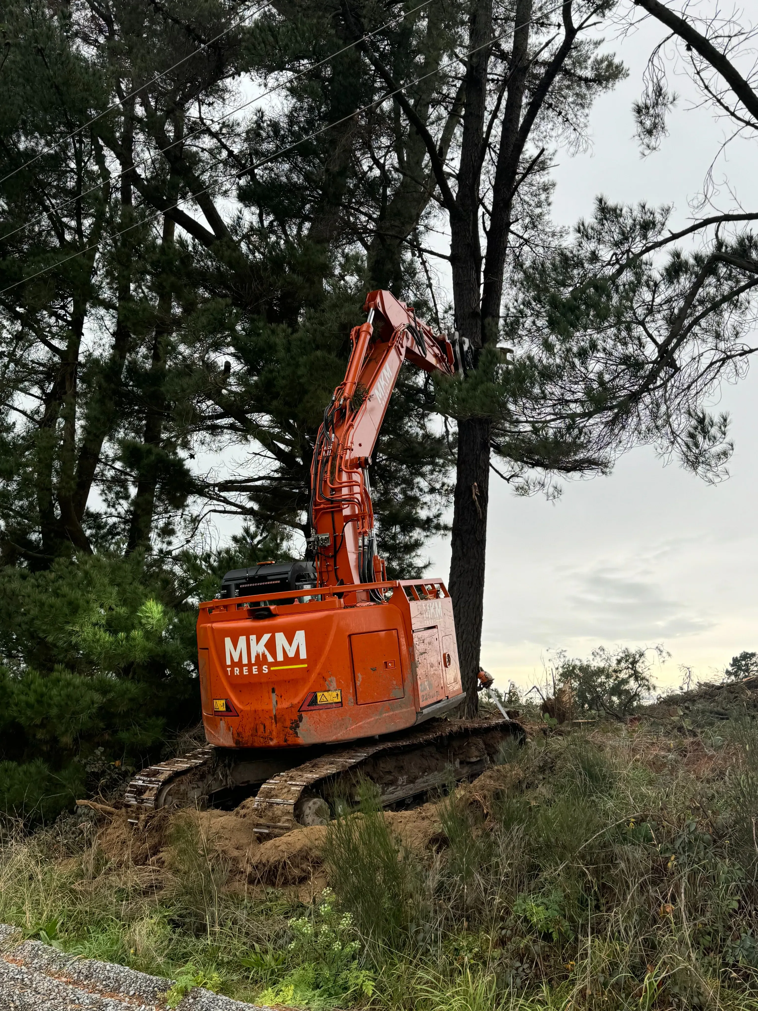 Essendon Road – Logging and Tree Removal - Gallery image 6