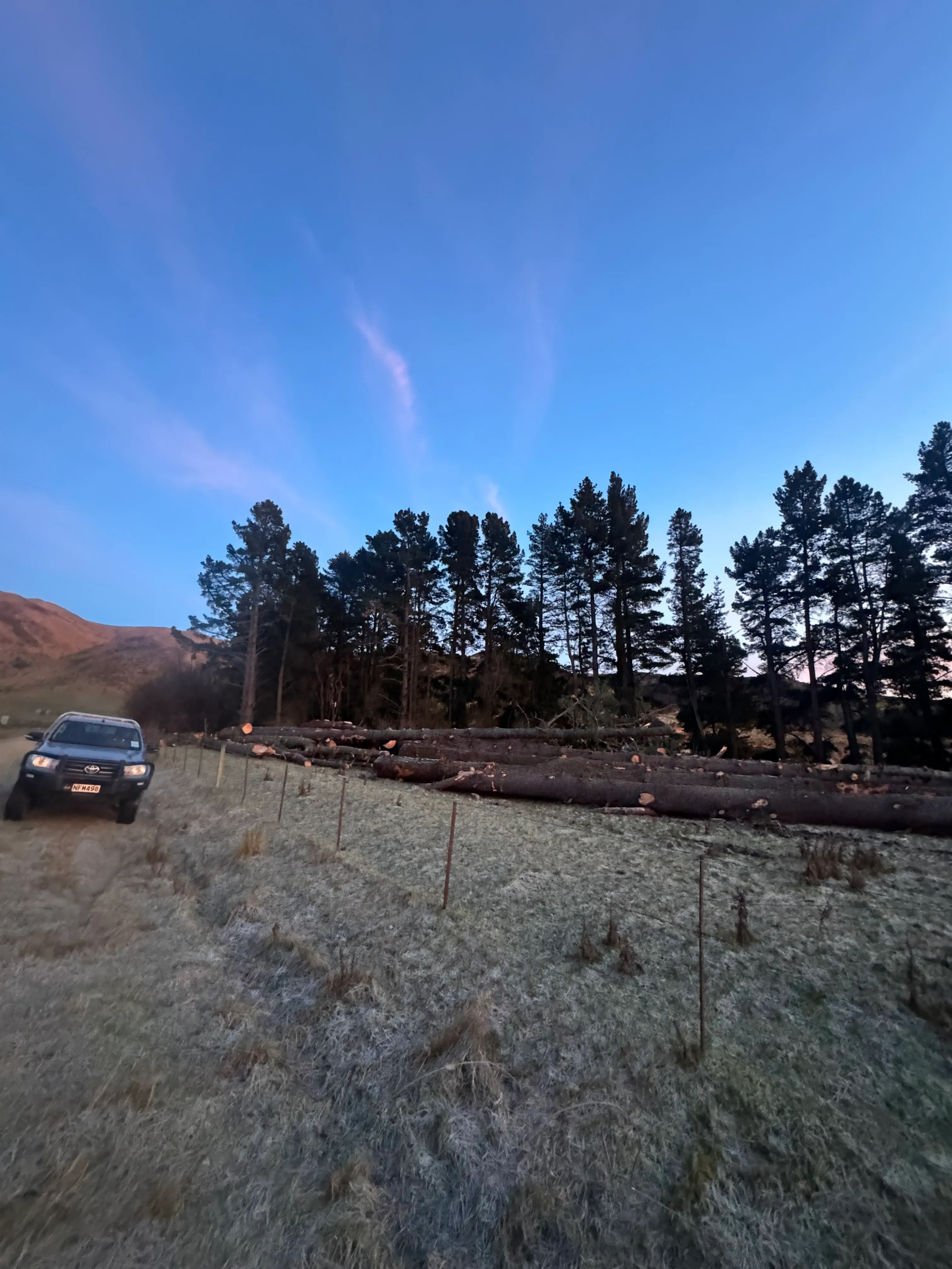 Spring Vale – Logging and Site Clearing - Gallery image 2