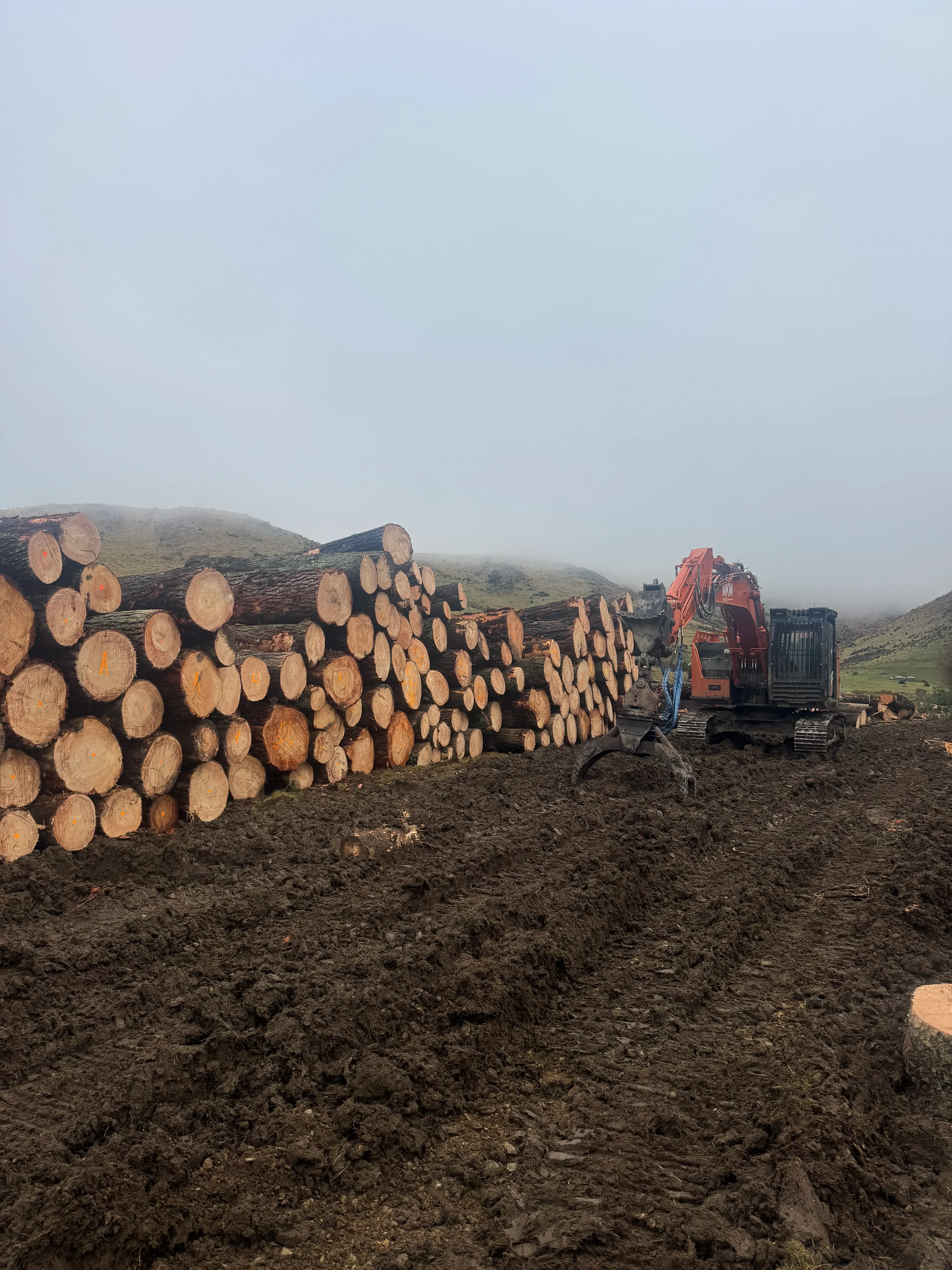 Spring Vale – Logging and Site Clearing - Gallery image 4